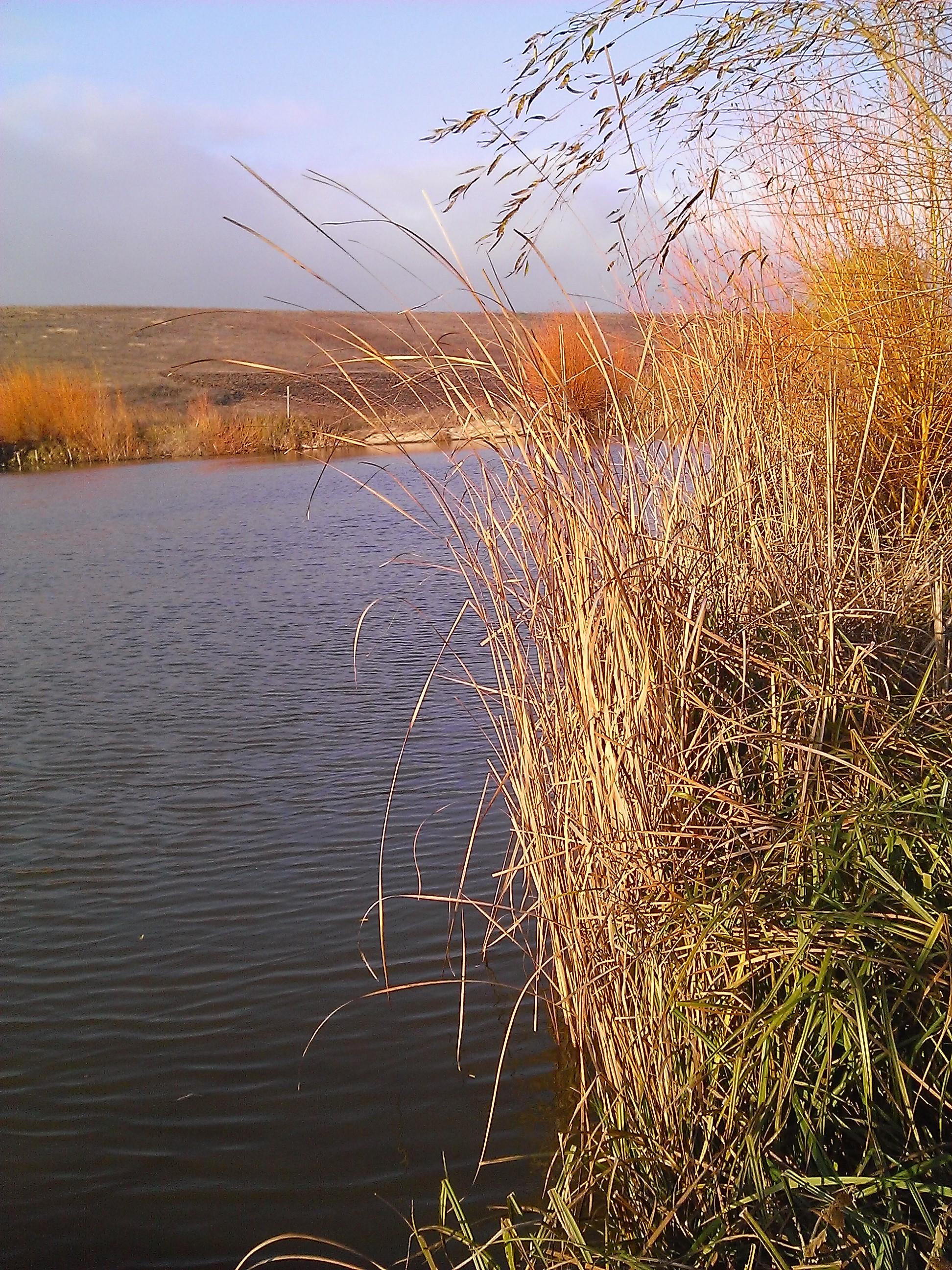 Magura 9 23 - 23 nov. - 25.jpg